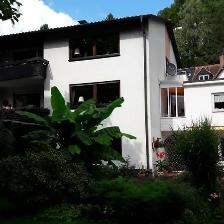Ferienwohnung Neckarblick Heidelberg Eksteriør billede