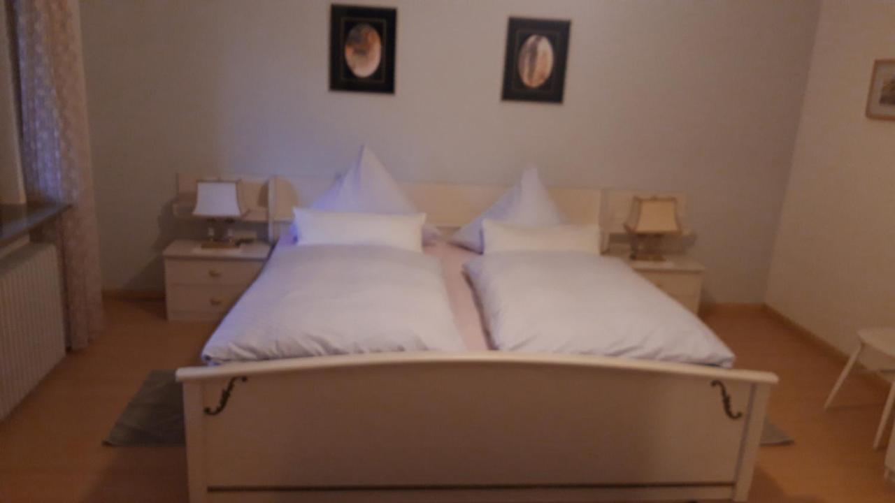 Neckarblick Appartamento Heidelberg