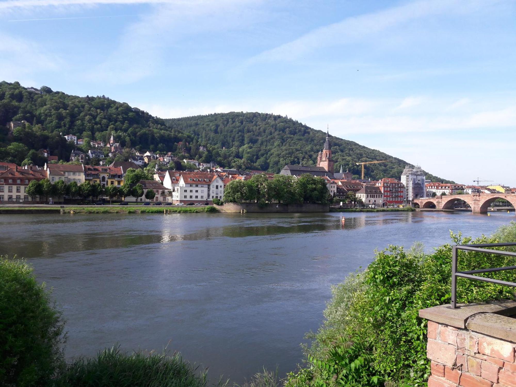 Neckarblick Heidelberg