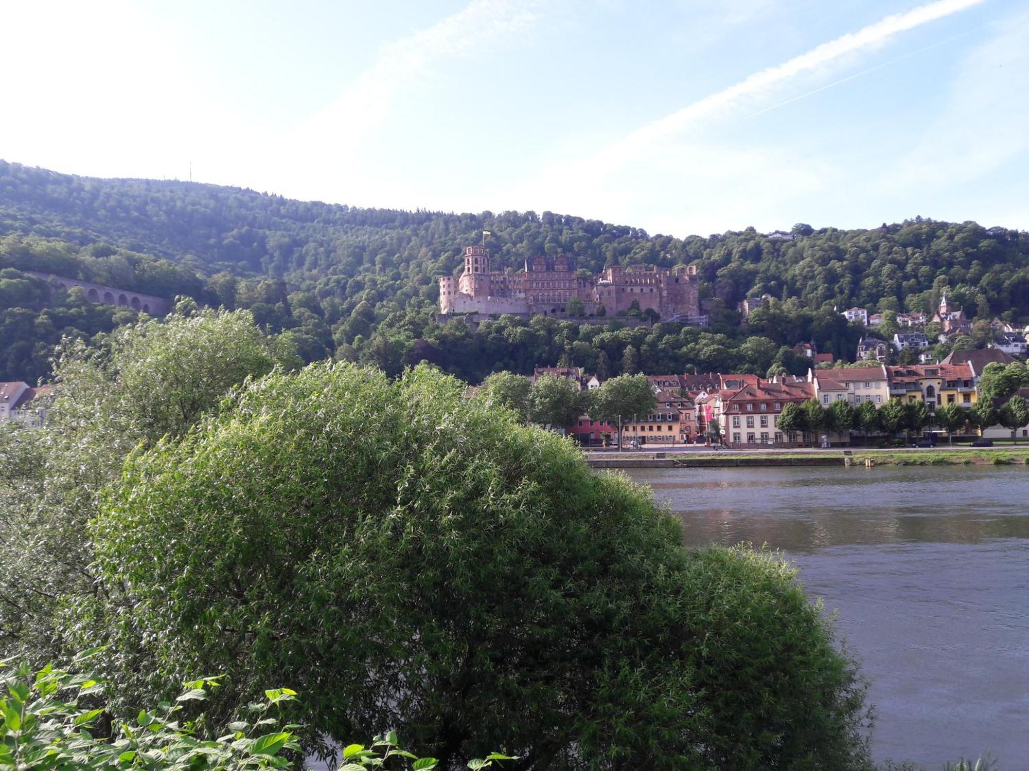 Neckarblick Appartamento Heidelberg