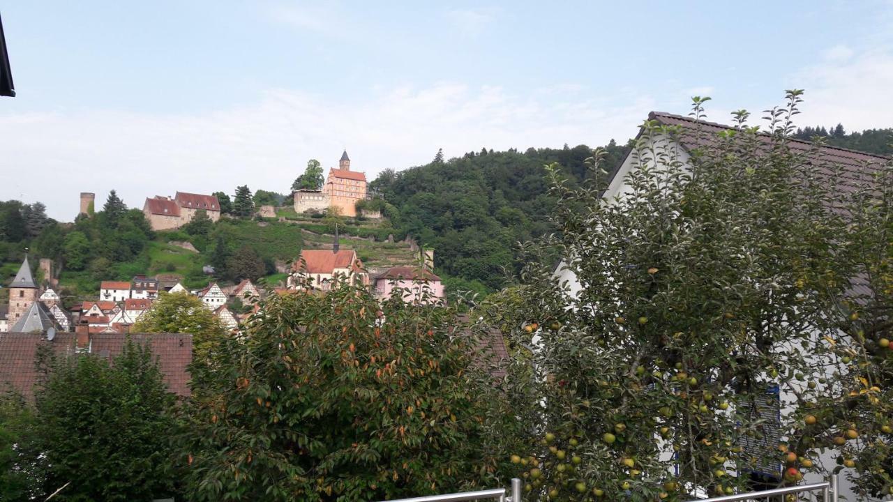 Neckarblick Appartamento *
